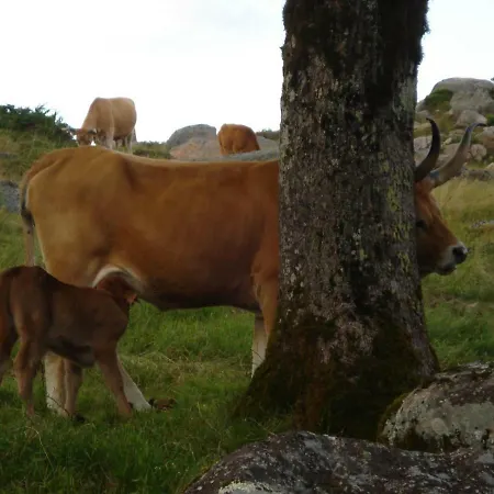 Semesterbostad Casa Tritao *