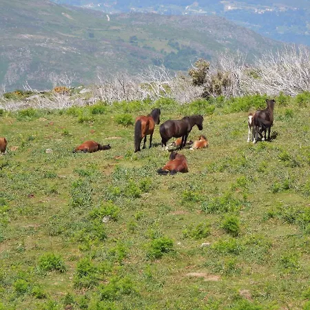 Semesterbostad Casa Tritao