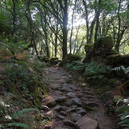 Дом отдыха Casa Tritao Кампу-ду-Жереш