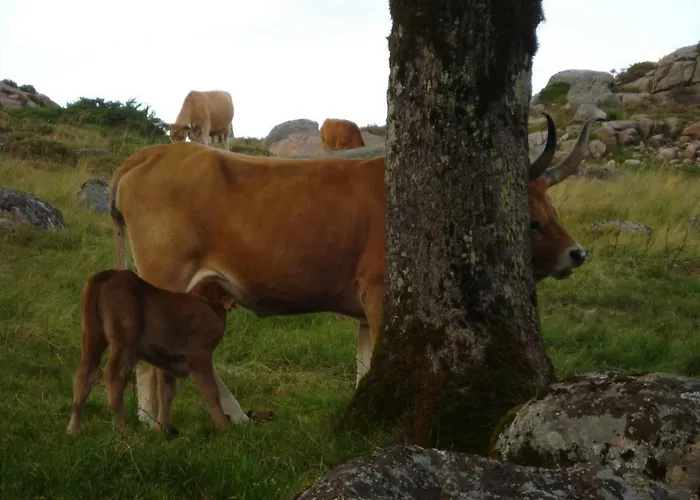 Semesterbostad Casa Tritao *