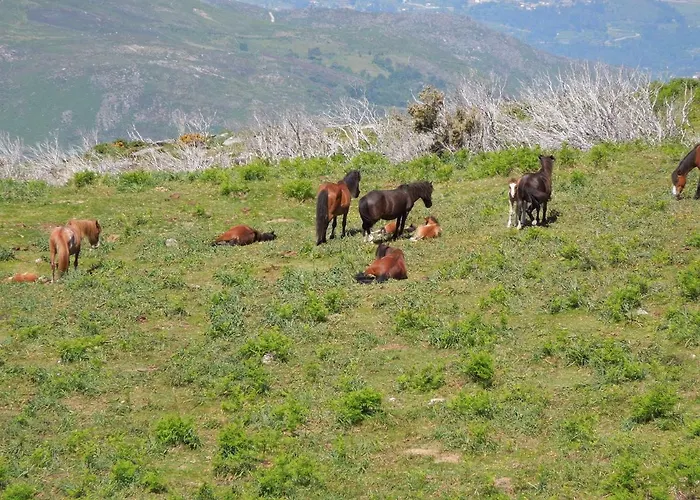 Semesterbostad Casa Tritao
